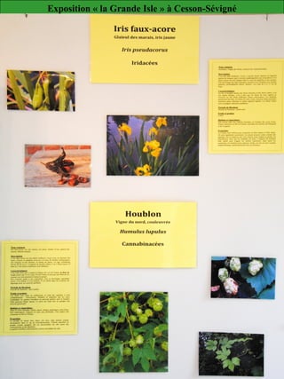 Exposition « la Grande Isle » à Cesson-Sévigné
 