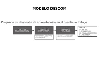 MODELO DESCOM
 