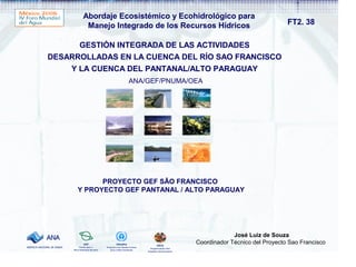 Abordaje Ecosistémico y Ecohidrológico para 
Manejo Integrado de los Recursos Hídricos 
GESTIÓN INTEGRADA DE LAS ACTIVIDADES 
DESARROLLADAS EN LA CUENCA DEL RÍO SAO FRANCISCO 
Y LA CUENCA DEL PANTANAL/ALTO PARAGUAY 
ANA/GEF/PNUMA/OEA 
PROYECTO GEF SÃO FRANCISCO 
Y PROYECTO GEF PANTANAL / ALTO PARAGUAY 
FT2. 38 
José Luiz de Souza 
Coordinador Técnico del Proyecto Sao Francisco 
 