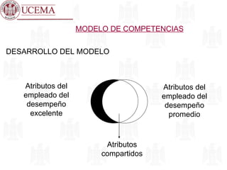 MODELO DE COMPETENCIAS DESARROLLO DEL MODELO Atributos compartidos Atributos del empleado del desempeño excelente Atributos del empleado del desempeño promedio 