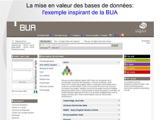 La mise en valeur des bases de données:
      l'exemple inspirant de la BUA
 