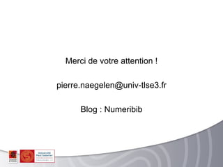 Merci de votre attention !

pierre.naegelen@univ-tlse3.fr

      Blog : Numeribib
 