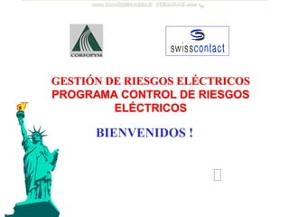 BIENVENIDOS !
GESTIÓN DE RIESGOS ELÉCTRICOS
PROGRAMA CONTROL DE RIESGOS
ELÉCTRICOS
 