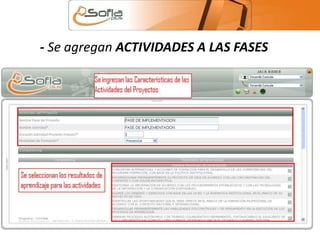 - Se agregan ACTIVIDADES A LAS FASES 
 