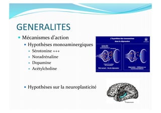 GENERALITES	
  
  Mécanismes	
  d’action	
  
  Hypothèses	
  monoaminergiques	
  
  Sérotonine	
  +++	
  
  Noradrénaline	
  
  Dopamine	
  
  Acétylcholine	
  
  Hypothèses	
  sur	
  la	
  neuroplasticité	
  
 