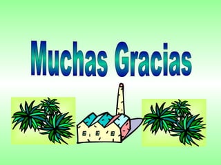 Muchas Gracias 