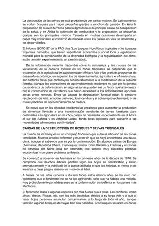 La destrucción de las selvas se está produciendo por varios motivos. En Latinoamérica
se cortan bosques para hacer pequeñas granjas y ranchos de ganado. En Asia la
preparación de nuevos terrenos para la agricultura es la principal causa de desaparición
de la selva, y en Africa la obtención de combustible y la preparación de pequeñas
granjas son los principales motivos. También en muchas ocasiones desempeña un
papel muy importante el comercio de maderas entre los países en vías de desarrollo y
los desarrollados.
El Informe SOFO 97 de la FAO dice "Los bosques higrofíticos tropicales y los bosques
tropicales húmedos, que tienen importancia económica y social local y significación
mundial para la conservación de la diversidad biológica y la regularización del clima,
están también experimentando un cambio rápido.
   De la información reciente disponible sobre la naturaleza y las causas de las
variaciones de la cubierta forestal en las zonas tropicales se desprende que la
expansión de la agricultura de subsistencia en África y Asia y los grandes programas de
desarrollo económico, en especial, los de reasentamiento, agricultura e infraestructura,
son factores clave que contribuyen considerablemente a la modificación de la cubierta
forestal. Aunque las operaciones de aprovechamiento maderero no son por lo general
causa directa de deforestación, en algunas zonas pueden ser un factor que la favorezca
por la construcción de carreteras que hacen accesibles a los colonizadores agrícolas
zonas antes remotas. Entre las causas de degradación forestal están la excesiva
recolección de leña, el sobre pastoreo, los incendios y el sobre-aprovechamiento y las
malas prácticas de aprovechamiento de madera.
   Se prevé que en las décadas venideras las presiones para aumentar la producción
de alimentos llevarán a una transformación constante de tierras forestales para
destinarlas a la agricultura en muchos países en desarrollo, especialmente en el África
al sur del Sahara y en América Latina, donde otras opciones para subvenir a las
necesidades alimentarias son limitadas".
CAUSAS DE LA DESTRUCCCION DE BOSQUES Y SELVAS TROPICALES
La muerte de los bosques es un complejo fenómeno que sufre el arbolado de las zonas
templadas. Muchos árboles enferman y mueren sin que se haya encontrado una causa
clara, aunque si sabemos que es por la contaminación. En algunos países de Europa
(Alemania, República Checa, Eslovaquia, Grecia, Gran Bretaña y Francia) y en zonas
de América del Norte está tan extendido que supone muy elevadas pérdidas
económicas y un grave problema ambiental.
Se comenzó a observar en Alemania en los primeros años de la década de 1970. Se
comprobó que muchos árboles perdían vigor, las hojas se decoloraban y caían
prematuramente y la debilidad de la planta facilitaba el que las heladas, el viento o los
insectos u otras plagas terminaran matando al árbol.
A finales de los años ochenta y durante todos estos últimos años se ha visto con
optimismo que el fenómeno no se ha ido agravando, sino que ha habido una mejoría,
muy probablemente por el descenso en la contaminación atmosférica en los países más
afectados.
El fenómeno ataca a algunas especies con más fuerza que a otras. Las coníferas, como
pinos, abetos, Piceas, etc. son las más afectadas, debido a su larga vida y a que al
tener hojas perennes acumulan contaminantes a lo largo de todo el año, aunque
también algunos bosques de hayas han sido dañados. Los bosques situados en zonas
 