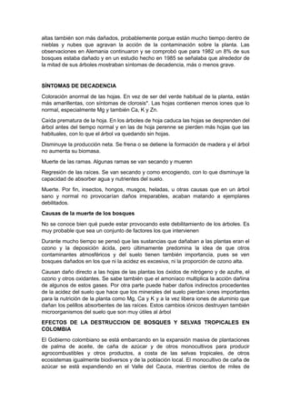altas también son más dañados, probablemente porque están mucho tiempo dentro de
nieblas y nubes que agravan la acción de la contaminación sobre la planta. Las
observaciones en Alemania continuaron y se comprobó que para 1982 un 8% de sus
bosques estaba dañado y en un estudio hecho en 1985 se señalaba que alrededor de
la mitad de sus árboles mostraban síntomas de decadencia, más o menos grave.


SÍNTOMAS DE DECADENCIA
Coloración anormal de las hojas. En vez de ser del verde habitual de la planta, están
más amarillentas, con síntomas de clorosis*. Las hojas contienen menos iones que lo
normal, especialmente Mg y también Ca, K y Zn.
Caída prematura de la hoja. En los árboles de hoja caduca las hojas se desprenden del
árbol antes del tiempo normal y en las de hoja perenne se pierden más hojas que las
habituales, con lo que el árbol va quedando sin hojas.
Disminuye la producción neta. Se frena o se detiene la formación de madera y el árbol
no aumenta su biomasa.
Muerte de las ramas. Algunas ramas se van secando y mueren
Regresión de las raíces. Se van secando y como encogiendo, con lo que disminuye la
capacidad de absorber agua y nutrientes del suelo.
Muerte. Por fin, insectos, hongos, musgos, heladas, u otras causas que en un árbol
sano y normal no provocarían daños irreparables, acaban matando a ejemplares
debilitados.
Causas de la muerte de los bosques
No se conoce bien qué puede estar provocando este debilitamiento de los árboles. Es
muy probable que sea un conjunto de factores los que intervienen
Durante mucho tiempo se pensó que las sustancias que dañaban a las plantas eran el
ozono y la deposición ácida, pero últimamente predomina la idea de que otros
contaminantes atmosféricos y del suelo tienen también importancia, pues se ven
bosques dañados en los que ni la acidez es excesiva, ni la proporción de ozono alta.
Causan daño directo a las hojas de las plantas los óxidos de nitrógeno y de azufre, el
ozono y otros oxidantes. Se sabe también que el amoníaco multiplica la acción dañina
de algunos de estos gases. Por otra parte puede haber daños indirectos procedentes
de la acidez del suelo que hace que los minerales del suelo pierdan iones importantes
para la nutrición de la planta como Mg, Ca y K y a la vez libera iones de aluminio que
dañan los pelillos absorbentes de las raíces. Estos cambios iónicos destruyen también
microorganismos del suelo que son muy útiles al árbol
EFECTOS DE LA DESTRUCCION DE BOSQUES Y SELVAS TROPICALES EN
COLOMBIA
El Gobierno colombiano se está embarcando en la expansión masiva de plantaciones
de palma de aceite, de caña de azúcar y de otros monocultivos para producir
agrocombustibles y otros productos, a costa de las selvas tropicales, de otros
ecosistemas igualmente biodiversos y de la población local. El monocultivo de caña de
azúcar se está expandiendo en el Valle del Cauca, mientras cientos de miles de
 