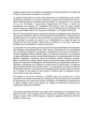 hectáreas están siendo convertidas en plantaciones de palma aceitera en la región del
Pacífico, en las llanuras orientales y en el Caribe.
La expansión de la palma de aceite está relacionada con la destrucción a gran escala
de bosques tropicales y con graves violaciones y abusos de los derechos humanos.
ONGs internacionales en Colombia han documentado 113 asesinatos en las cuencas
de los ríos Curvaradó y Jiguamiandó, departamento del Chocó, a manos de
paramilitares que trabajan con compañías palmicultoras, para que estas puedan
usurpar tierras que legalmente pertenecen a las comunidades afro colombianas. Los
grupos paramilitares operan con el apoyo de la Brigada 17 del ejército colombiano.
Más de 10 años después de una campaña de violencia, de desplazamientos forzados y
de masacres iniciada en 1996, las comunidades afro descendientes y campesinas han
decidido retornar a sus tierras. Pero encontraron que gran parte de su territorio había
sido sembrado con palma de aceite sin su consentimiento y a pesar de estar en
posesión de los títulos legales. Hasta ahora, el Gobierno no ha hecho nada para
proteger a las comunidades y su derecho al territorio.
La expansión de monocultivos para la producción de agrocombustibles, principalmente
para biodiesel, está amenazando las vidas, tierras y costumbres de las comunidades
afro colombianas, indígenas y campesinas, no solamente en el Chocó, sino también en
Tumaco, Magdalena Medio, Vichada, Meta y las regiones amazónicas. Los proyectos
de agrocombustibles ya están siendo implementados en los departamentos de Cesar
Atlántico, Magdalena, Santander, Norte de Santander, Bolívar, Antioquia, Caquetá,
Meta, Cundinamarca, Casnara, Nariño y Cauca. De acuerdo al Alto Comisionado de las
Naciones Unidas para los Refugiados, 200.000 personas son desplazadas cada año en
Colombia, completando los 4 millones a lo largo de los 20 últimos años – la segunda
tasa de desplazamiento más alta del mundo – con expropiación de más de 6 millones
de hectáreas de tierras. La mayoría de los desplazamientos forzosos están provocados
por el interés en las tierras, lo que incluye la directiva para la expansión de los
monocultivos y otros agro negocios.
De acuerdo a uno de los miembros e CENSAT Agua Viva (Amigos de la Tierra
Colombia): “Es la historia silenciosa de la desaparición de los bosques para convertirse
en plantaciones. Es la historia de culturas ancestrales convirtiéndose en proletarios de
la palma aceitera. Estas voces claman por detener la destrucción propuesta por
aquellos que defienden el biodiesel”


Los bosques tropicales del Chocó, que están siendo destruidos por la expansión de la
palma de aceite, se encuentran entre los bosques más biodiversos del planeta. Son
refugio de entre 7.000 y 8.000 especies, incluyendo especies endémicas: 2.000 de
plantas y 100 de aves.
 