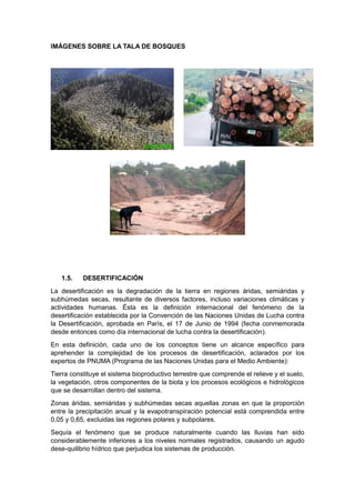 IMÁGENES SOBRE LA TALA DE BOSQUES




   1.5.    DESERTIFICACIÓN
La desertificación es la degradación de la tierra en regiones áridas, semiáridas y
subhúmedas secas, resultante de diversos factores, incluso variaciones climáticas y
actividades humanas. Ésta es la definición internacional del fenómeno de la
desertificación establecida por la Convención de las Naciones Unidas de Lucha contra
la Desertificación, aprobada en París, el 17 de Junio de 1994 (fecha conmemorada
desde entonces como día internacional de lucha contra la desertificación).
En esta definición, cada uno de los conceptos tiene un alcance específico para
aprehender la complejidad de los procesos de desertificación, aclarados por los
expertos de PNUMA (Programa de las Naciones Unidas para el Medio Ambiente):
Tierra constituye el sistema bioproductivo terrestre que comprende el relieve y el suelo,
la vegetación, otros componentes de la biota y los procesos ecológicos e hidrológicos
que se desarrollan dentro del sistema.
Zonas áridas, semiáridas y subhúmedas secas aquellas zonas en que la proporción
entre la precipitación anual y la evapotranspiración potencial está comprendida entre
0,05 y 0,65, excluidas las regiones polares y subpolares.
Sequía el fenómeno que se produce naturalmente cuando las lluvias han sido
considerablemente inferiores a los niveles normales registrados, causando un agudo
dese-quilibrio hídrico que perjudica los sistemas de producción.
 