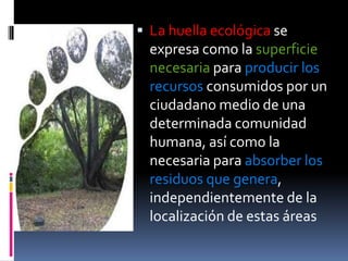  La huella ecológica se
  expresa como la superficie
  necesaria para producir los
  recursos consumidos por un
  ciudadano medio de una
  determinada comunidad
  humana, así como la
  necesaria para absorber los
  residuos que genera,
  independientemente de la
  localización de estas áreas
 
