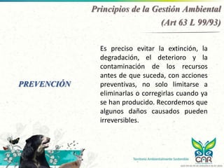 PREVENCIÓN
Es preciso evitar la extinción, la
degradación, el deterioro y la
contaminación de los recursos
antes de que suceda, con acciones
preventivas, no solo limitarse a
eliminarlas o corregirlas cuando ya
se han producido. Recordemos que
algunos daños causados pueden
irreversibles.
Principios de la Gestión Ambiental
(Art 63 L 99/93)
GCO-PR-02-FR-05 VERSIÓN 4 03-07-2020
 