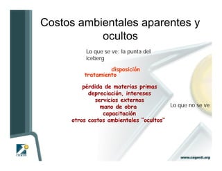 Costos ambientales aparentes y
           ocultos
          Lo que se ve: la punta del
          iceberg
                  disposición
         tratamiento

         pérdida de materias primas
           depreciación, intereses
             servicios externos
               mano de obra             Lo que no se ve
                capacitación
     otros costos ambientales “ocultos“
 