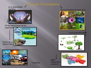Ecología Y Ecosistema
es la especialidad
científica
De las interacciones de los
organismos entre si.
Dentro de un
entorno físico
Y químico.
Es la comunidad de seres vivos
Cuyos procesos vitales
Están
relacionado
s entre si.
 