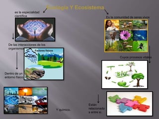 Ecología Y Ecosistema
es la especialidad
científica
De las interacciones de los
organismos entre si.
Dentro de un
entorno ...