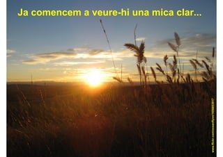 Per què gestionar el coneixement?