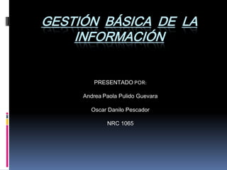 GESTIÓN BÁSICA DE LA
    INFORMACIÓN


        PRESENTADO POR:

     Andrea Paola Pulido Guevara

       Oscar Danilo Pescador

             NRC 1065
 