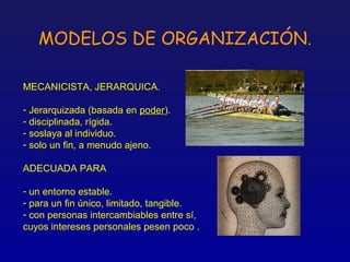 MODELOS DE ORGANIZACIÓN.

MECANICISTA, JERARQUICA.

- Jerarquizada (basada en poder).
- disciplinada, rígida.
- soslaya al individuo.
- solo un fin, a menudo ajeno.

ADECUADA PARA

- un entorno estable.
- para un fin único, limitado, tangible.
- con personas intercambiables entre sí,
cuyos intereses personales pesen poco .
 