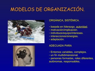 MODELOS DE ORGANIZACIÓN.

            ORGÁNICA, SISTÉMICA.

            - basada en líderazgo, autoridad.
            - motivación/implicación.
            - individuos/equipo/intereses.
            - interacciones/sinergias.
            - adaptación.

            ADECUADA PARA

            - Entornos variables, complejos.
            - un fin multidimensional.
            - personas formadas, roles diferentes,
            autónomas, responsables.
 