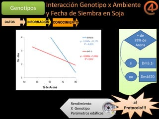 La gestión del conocimiento en la agricultura por sitio específico