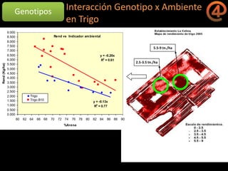 La gestión del conocimiento en la agricultura por sitio específico