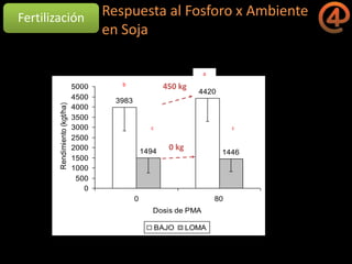 La gestión del conocimiento en la agricultura por sitio específico