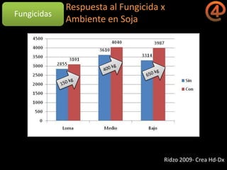 La gestión del conocimiento en la agricultura por sitio específico