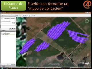 La gestión del conocimiento en la agricultura por sitio específico