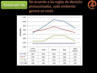 La gestión del conocimiento en la agricultura por sitio específico