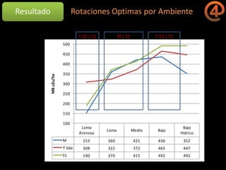 La gestión del conocimiento en la agricultura por sitio específico