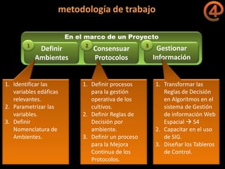 La gestión del conocimiento en la agricultura por sitio específico