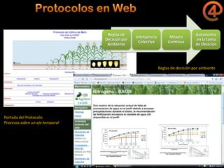 La gestión del conocimiento en la agricultura por sitio específico