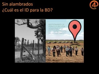 La gestión del conocimiento en la agricultura por sitio específico