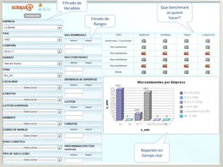 La gestión del conocimiento en la agricultura por sitio específico