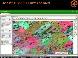 La gestión del conocimiento en la agricultura por sitio específico