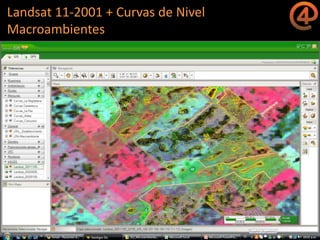 La gestión del conocimiento en la agricultura por sitio específico