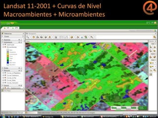 La gestión del conocimiento en la agricultura por sitio específico