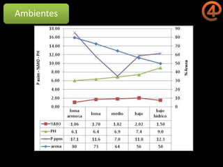 La gestión del conocimiento en la agricultura por sitio específico