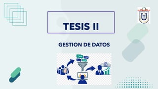 TESIS II
GESTION DE DATOS
 