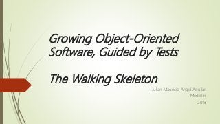 Growing Object-Oriented
Software, Guided by Tests
The Walking Skeleton
Julian Mauricio Angel Aguilar
Medellín
2018
 