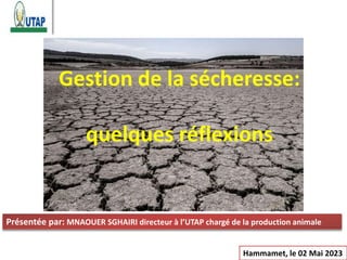 Gestion de la sécheresse:
quelques réflexions
Présentée par: MNAOUER SGHAIRI directeur à l’UTAP chargé de la production animale
Hammamet, le 02 Mai 2023
 