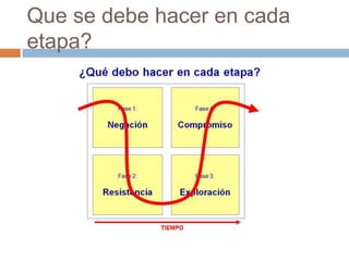 Que se debe hacer en cada etapa?