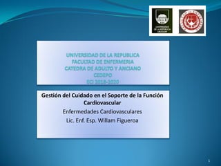 Gestión del Cuidado en el Soporte de la Función
Cardiovascular
Enfermedades Cardiovasculares
Lic. Enf. Esp. Willam Figueroa
1
 