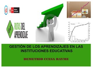 GESTIÓN DE LOS APRENDIZAJES EN LAS 
INSTITUCIONES EDUCATIVAS 
DEMETRIO CCESA RAYME 
 