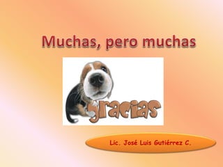 Lic. José Luis Gutiérrez C.
 