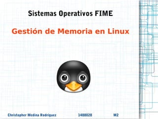 Sistemas Operativos FIME

  Gestión de Memoria en Linux




Christopher Medina Rodríguez   1488028   M2
 
