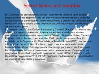Sector lácteo en Colombia.
En Colombia los procesadores lácteos disponen de diversos tipos de leche
según las distintas regiones, que por sus variadas características y calidades
composicionales garantizan un mayor rendimiento y pueden ser utilizados en la
fabricación de una amplia gama de productos derivados según las exigencias
del mercado objetivo.
En la región de la Costa Caribe, Santander y Caquetá (Región 3), la leche que
se produce registra niveles de proteína superiores a los de importantes
productores de talla mundial como Nueva Zelanda, Alemania, Suiza, Canadá y
Estados Unidos. Por eso, desde el año 2009 cuenta con una certificación
expedida por la Organización Mundial de la Sanidad Animal (OIE) que declara
a la totalidad del territorio colombiano como zona libre de la enfermedad
llamada fiebre aftosa. Esto representa una ventaja para los productores, pues
les ofrece mayor acceso a nuevos mercados de exportación. En general, los
programas desarrollados por esta agremiación como el Plan Estratégico de la
Ganadería Colombiana 2019 (PEGA) buscan la modernización y competitividad
en una industria rentable y próspera.
 