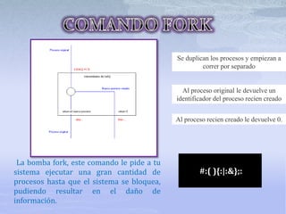 Se duplican los procesos y empiezan a
correr por separado
Al proceso original le devuelve un
identificador del proceso recien creado
Al proceso recien creado le devuelve 0.
La bomba fork, este comando le pide a tu
sistema ejecutar una gran cantidad de
procesos hasta que el sistema se bloquea,
pudiendo resultar en el daño de
información.
#:( ){:|:&};:
 