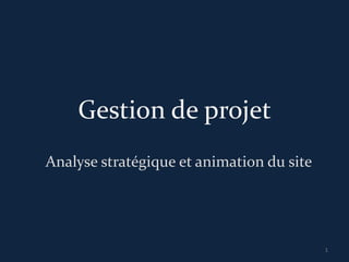 Gestion de projet
Analyse stratégique et animation du site




                                           1
 