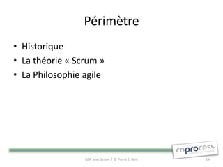 Périmètre
• Historique
• La théorie « Scrum »
• La Philosophie agile




                 GDP avec Scrum │ © Pierre E. Neis   14
 
